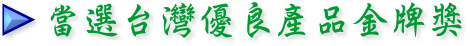 代成專利防水閘門
